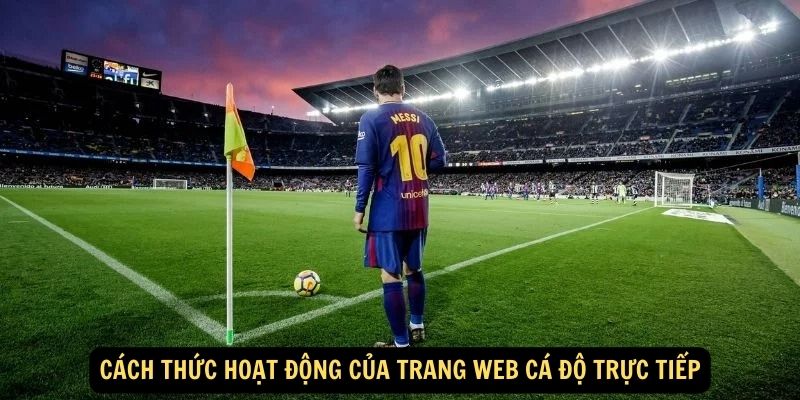 Cách thức hoạt động của trang web cá độ trực tiếp