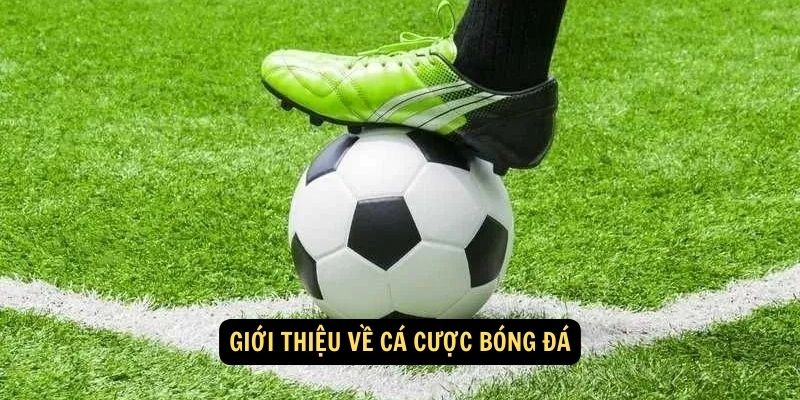 Giới thiệu về cá cược bóng đá