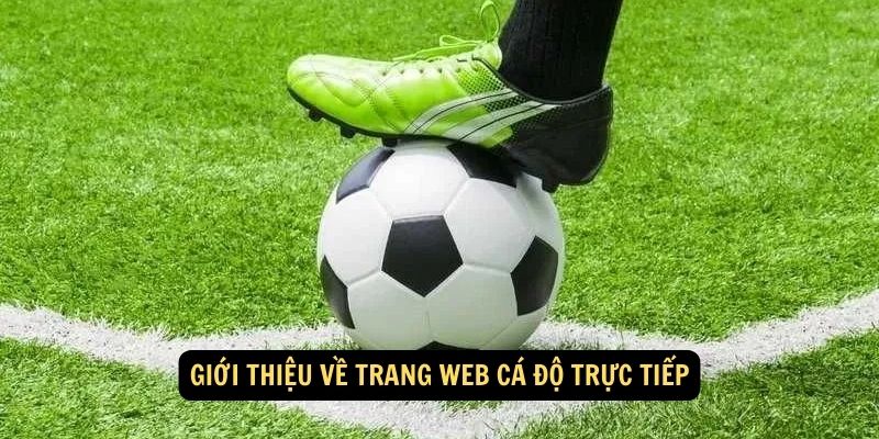 Giới thiệu về trang web cá độ trực tiếp