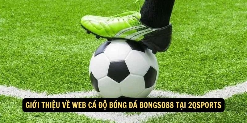 Giới thiệu về web cá độ bóng đá Bongso88 tại 2qsports