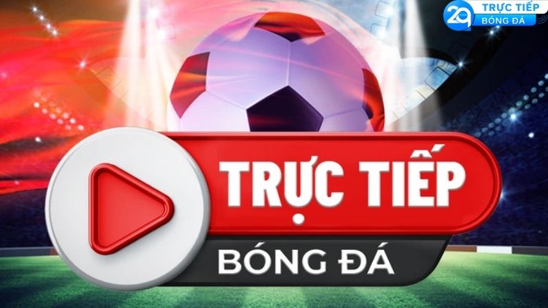 Cách Thức Theo Dõi Bóng Đá Không Giới Hạn Với 2qlive Trực Tiếp Bóng Đá